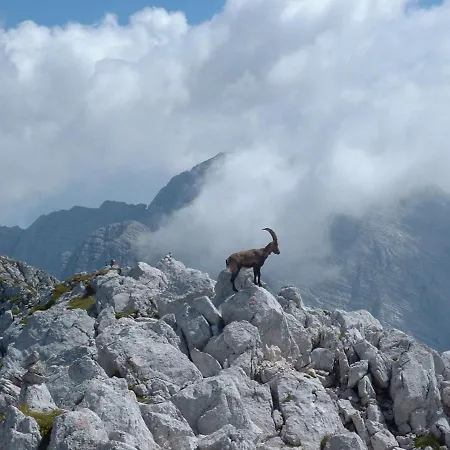 Casa Cadorna Tarvisio